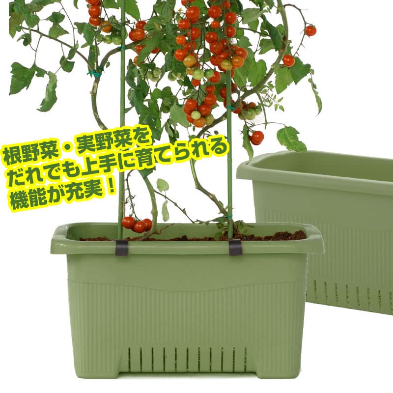 Amazon.co.jp: 【まとめ買い3個セット】リッチェル プランター 菜園